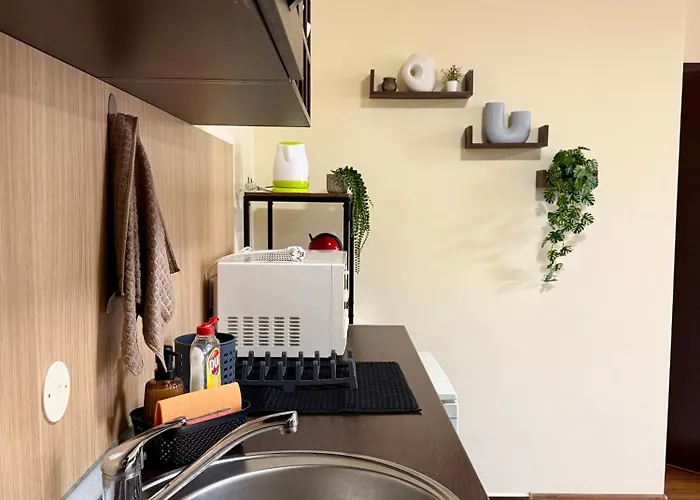 公寓 Gino's Place 2 Home2host 班斯科